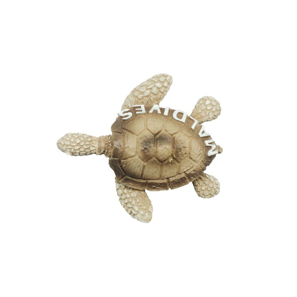SMALL POLY TURTLE MAGNET