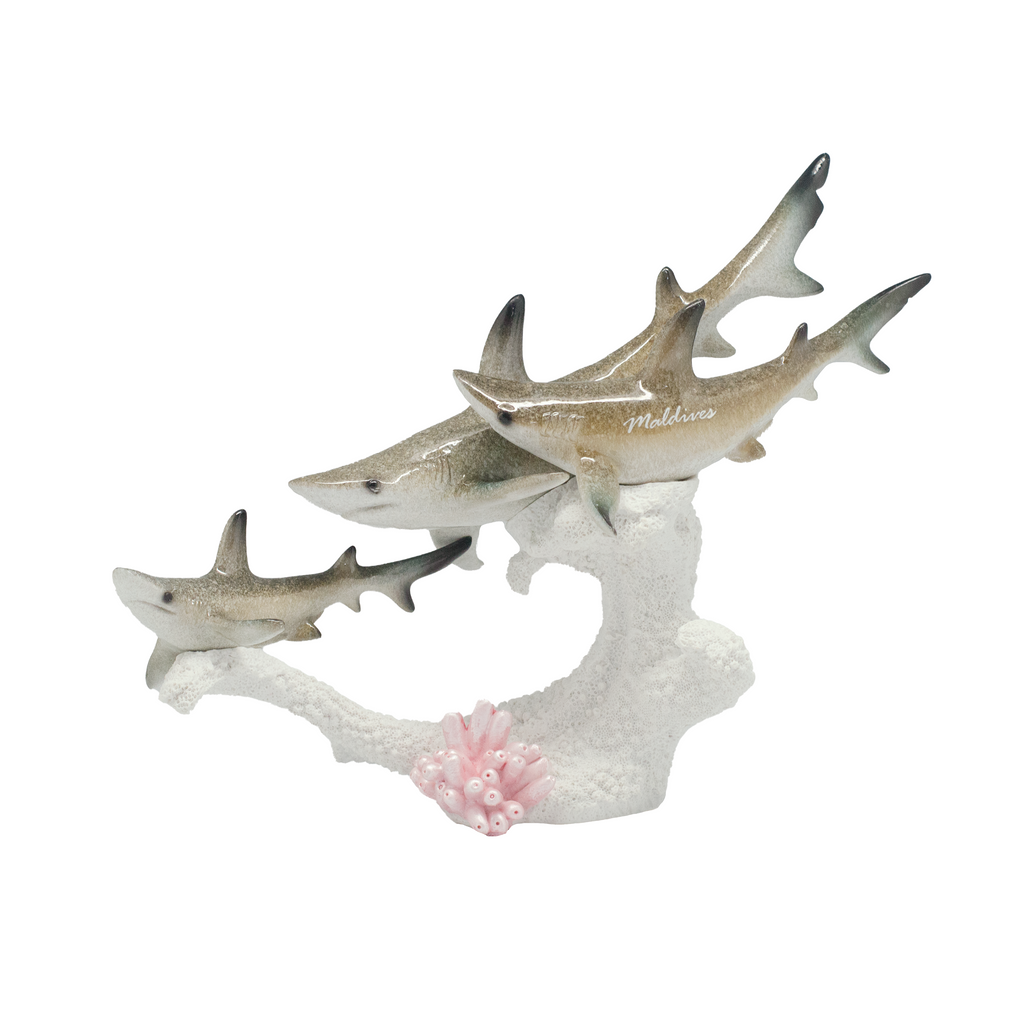 3 POLY SHARK ON WHITE CORAL