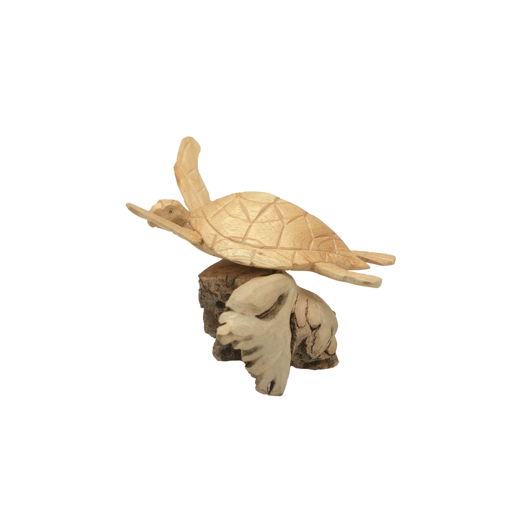 SINGLE WOODEN TURTLE W/ ROOT CORAL
