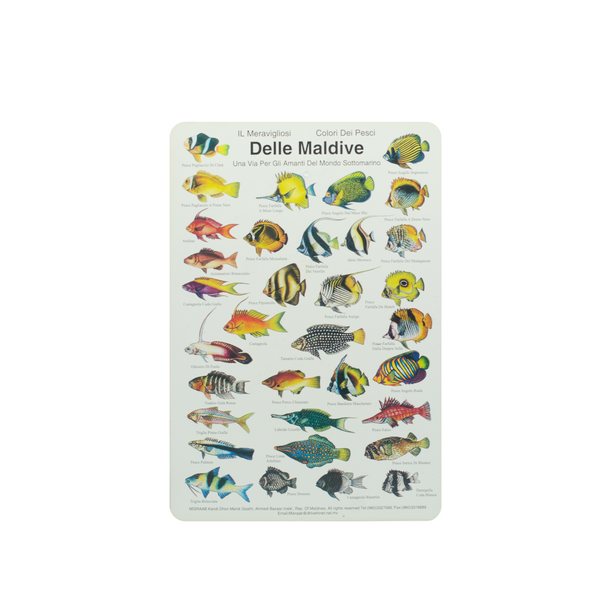 UNDERWATER FISH CARD