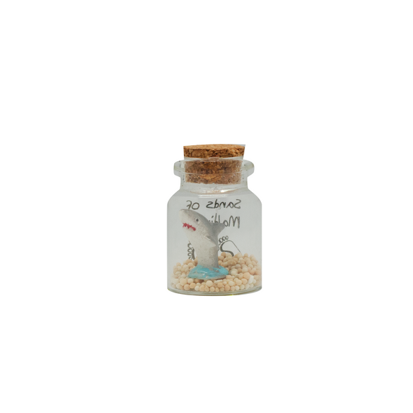 SAND JAR MAGNET WITH SAND & SHELL