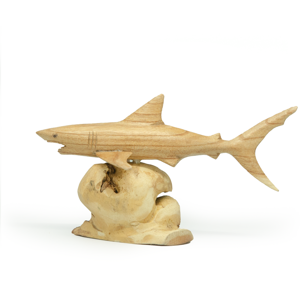 WOOD SHARK W/ ROOT CORAL
