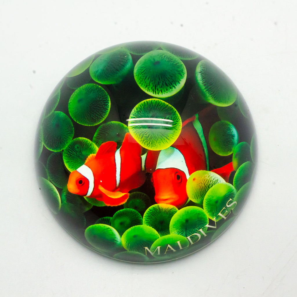 CRYSTAL PAPER WEIGHT FISH